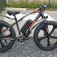 SOLD Taoci Python 1000w Ex-display, 13Ah.