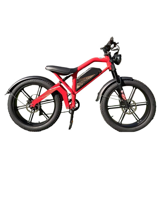 TAIQI XT600 Scrambler Motorbike Style E-bike - 500w (Red)