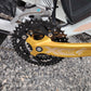 1 Only left * Eco-Flying TOP-20 Fat Tyre electric mountain bike 1000w 17Ah.