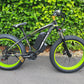 Wolf Sport Hard Tail E-Mountain Bike - 1000w